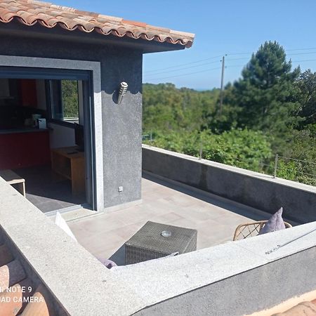 Chez J, Appartement A L'Etage, T3 Леччи Экстерьер фото